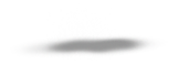 A black and white photo of a gray background. Description generated by AI