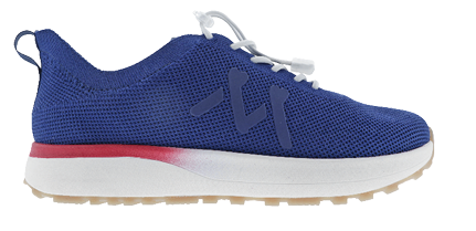 A blue and red shoe with a white lace.   Description generated by AI
