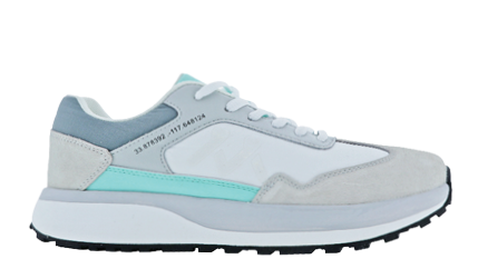 A grey and white shoe with a blue stripe. Description generated by AI